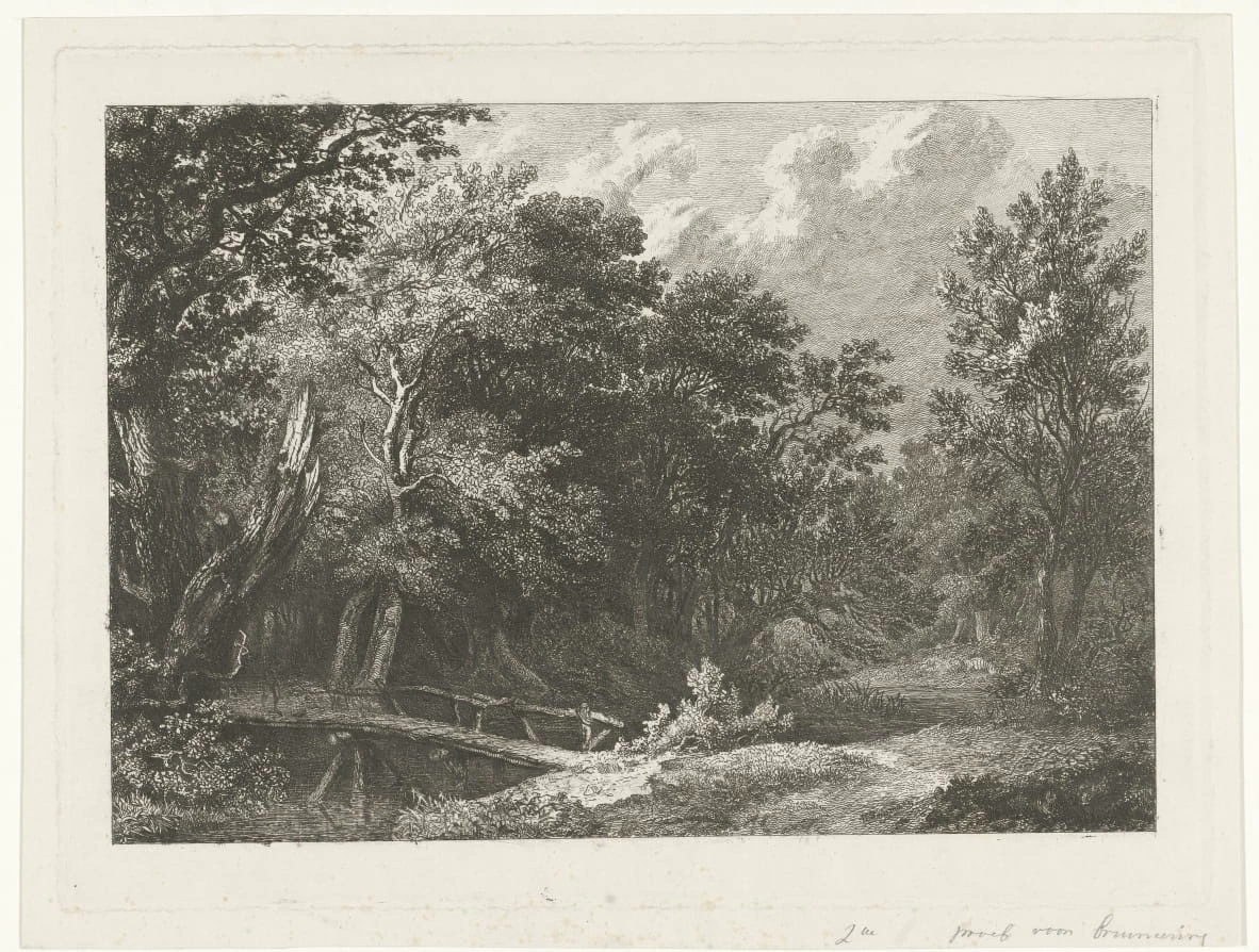 Vista sulla foresta con ponte in legno - Rijks Museum, Amsterdam